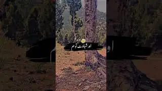 #attitude #poetry Pakistan Army Status please subscribe my account 1k subscribe