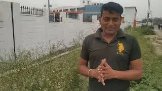 गाज़र घास, Carrot Grass
