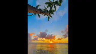 Aloha Alchemy 🌅🌊🌺🌴 #hawaiianisland  #paradise #sunset #waves #beach #hawaii  #coconut
