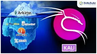Айсберг приложений Kali Linux [Purple] &mdash; 15 лучших инструментов безопасности в Kali Purple, котор...