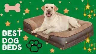 Top 7 best dog beds - best dog beds for large dogs 2020  top 7 big dog beds