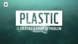 The Plastic Pollution Problem - World Environment Day 2018