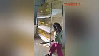 Rabbit cage with rack system  in chennai 7305583312