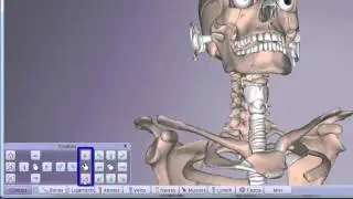 3D Real-time Images