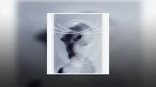 MADELLIC - My Mind | MAD WEEK