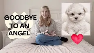 Goodbye to an Angel 🤍