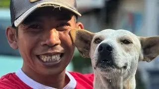 Каждый день кормим бездомных собак в садах жителей | StreetDogsCH