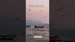 Just Enjoying ❤️🥰 #enjoyment #entertainment #beach #beachvibes #sunset #harnai #maharashtra