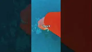 what's the best of karma #post #post #tranding #youtube #reels