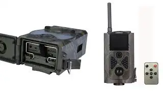 Top 5 Best Hunting Cameras