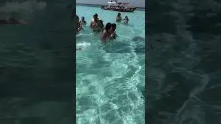 Stingray attack 😱 #youtubeshorts #shorts #short #cancun #travel #mexico #vacation