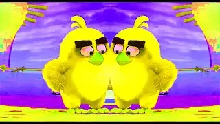 Get Out On My Face I Angry Birds I Best Clip Animation I Preview2effects