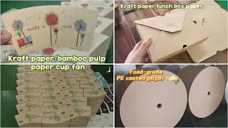 Factory Direct | Food Grade PE Coated Kraft Paper