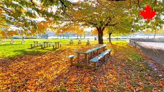 【Vancouver 2025】🇨🇦 1 Minute -Sunset Beach 40-