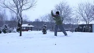 Taiji Quan 2   Tai Chi   Sundoor hu   First part of 48form