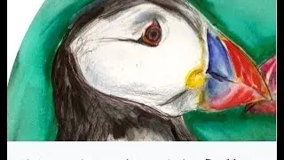 Totem Tuesday -  The Puffin