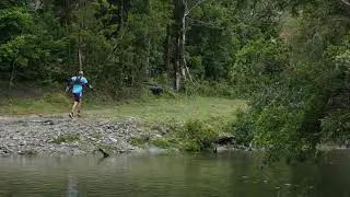 SELVA COSTERA TRAIL