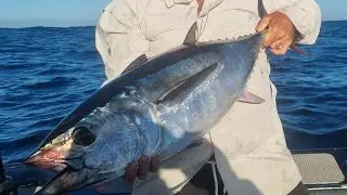 West coast tuna trip part 1