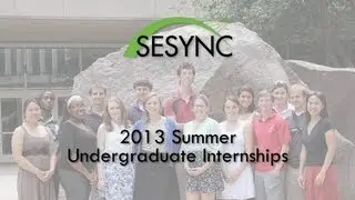 Undergraduate Research Internship Opportunities at SESYNC