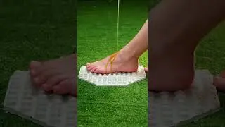 Transform Your Backyard with These Mind-Blowing DIY Hacks! 🌟🏡