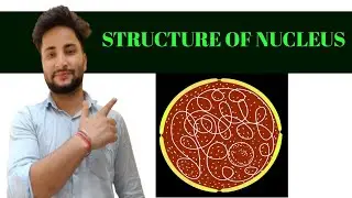 #Dogri language #Structure of Nucleus #by kk sir