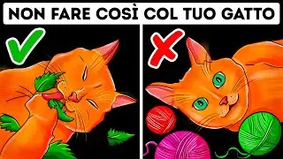 26 Errori Pericolosi Da Evitare Se Hai Un Gatto