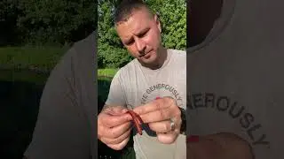 Roboworm