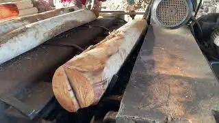 Wood core peeling veneer wood factory 🪵| Wood plywood making work sawmill 🌲|