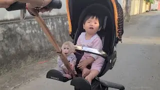 Baby Monkey Tini and the baby go to visit Grandma together