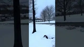 Niagara in winter 