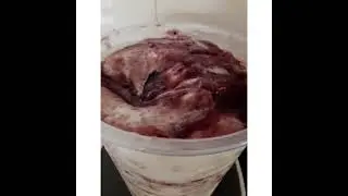 Sorvete iogurte grego com amarena caseiro