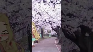 @URUS.9 ответка