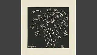 Magnolia