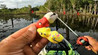 🚨Fica mais fácil PESCAR nesse lugar! Encontrei o esconderijo das TRAÍRAS pescaria com o RATINHU🔥