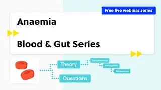 Anaemia (Part 1) (case-based discussion, theory and quiz)