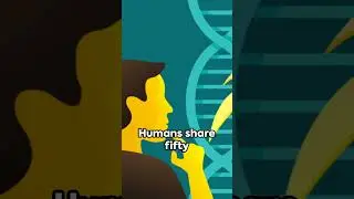 7 Unique Health Facts Unveiled