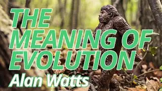 The meaning of evolution by Alan Watts