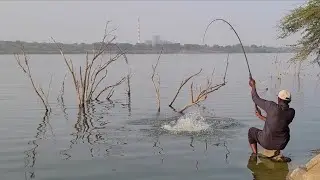 Amazing🎣Spot Professional HUNTER Catching Rohu Fishes in Krishna River 