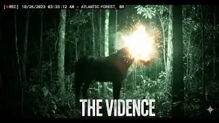 Headless Mule: Why You Should Stop Walking at Night in Brazil