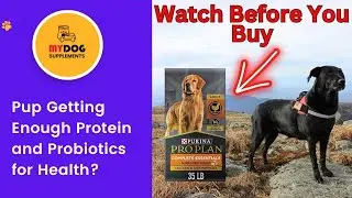 Purina Pro Plan High Protein Dog Food: Shredded Blend Chicken & Rice Formula Review! #dog #petfood