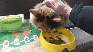 Люся Не Сдалась Даже В Мороз / Lucy Survived the Cold 🔥