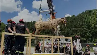 Cherokee Fire & Milton Fire Technical Large Animal Emergency Rescue Training 2023