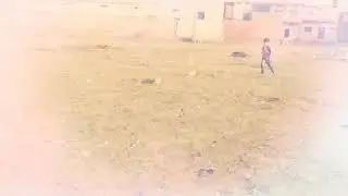 Vipen