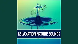 Ocean Waves