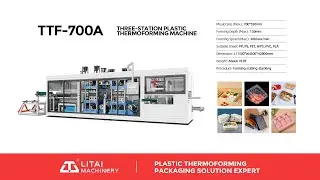 Disposable Fast Food Takeaway Box Container Making Machine