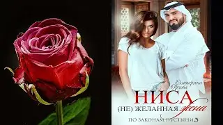 Ниса. (Не)желанная жена (Екатерина Орлова) Аудиокнига