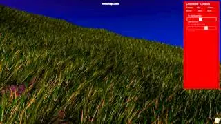 Realtime procedural grass rendering, sky rendering, and terrain rendering with realtime shadow maps.