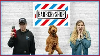 ATTEMPTING TO CUT OUR DOG'S HAIR... *BAD IDEA*