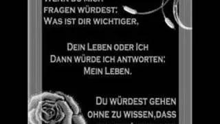 Nik P - Es ist nur mein Herz