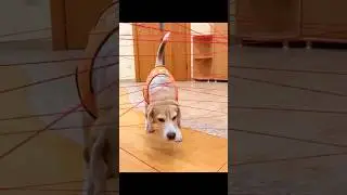 ПРОХОЖДЕНИЕ ТРАССЫ ИЗ ВЕРЕВОК